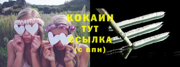прущие крисы Белокуриха