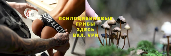 соль курить ск Строитель