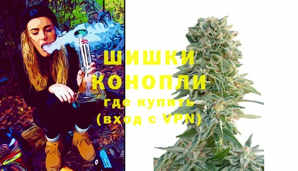 прущие крисы Белокуриха