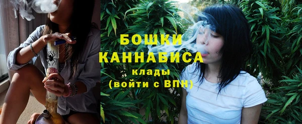 прущие крисы Белокуриха