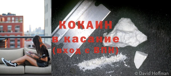 прущие крисы Белокуриха