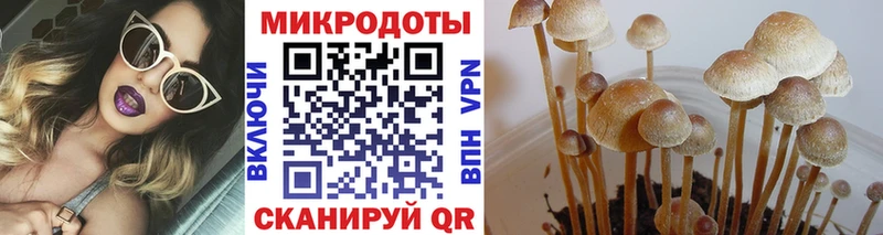 Галлюциногенные грибы Magic Shrooms  Ворсма 